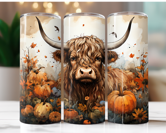 Highland Cow with Pumpkins