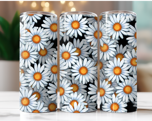 Daisies